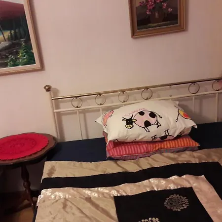 Next To Center, Beside Bus And Train Station, Safe And Cozy Place Alloggio in famiglia